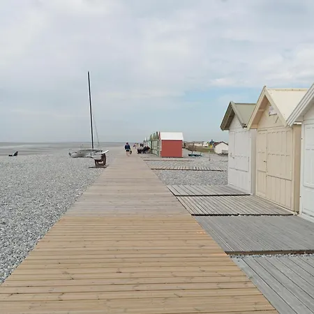 Les Oiseaux En Baie De Somme كايو سور مير