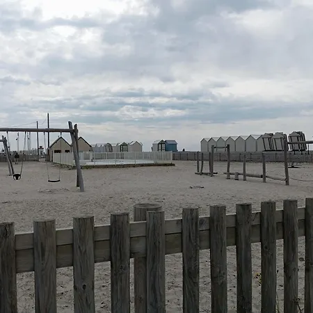 Les Oiseaux En Baie De Somme