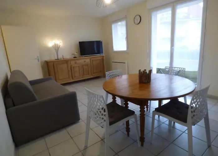 Les Oiseaux En Baie De Somme *